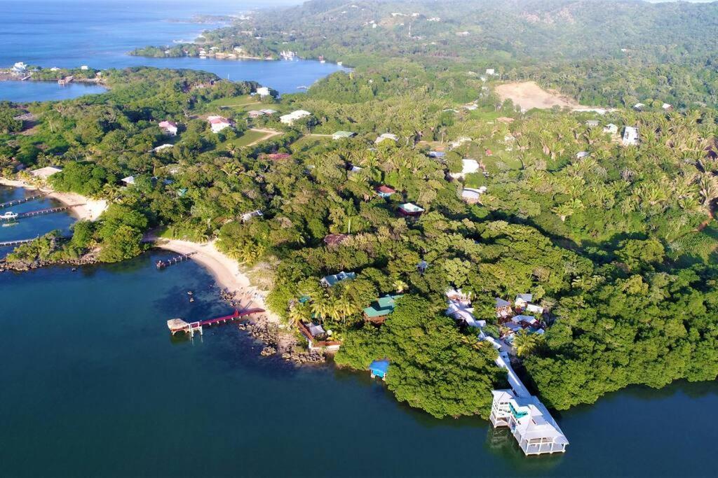 The Dock Resort Over Water Retreat Уест Енд Екстериор снимка